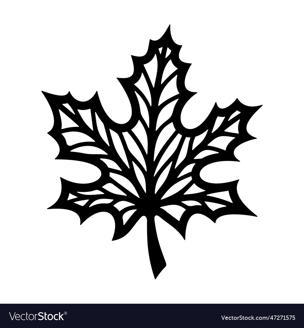 Maple leaf silhouette Royalty Free Vector Image