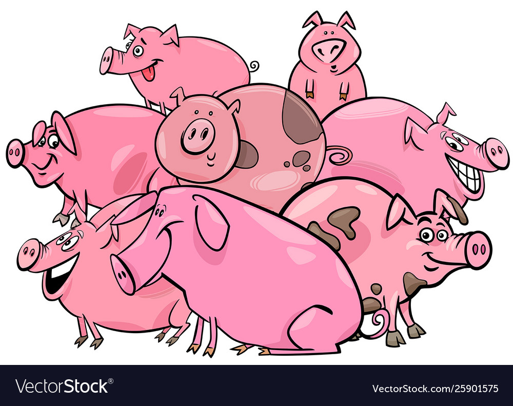 Pigs farm animal cartoon characters group Vector Image