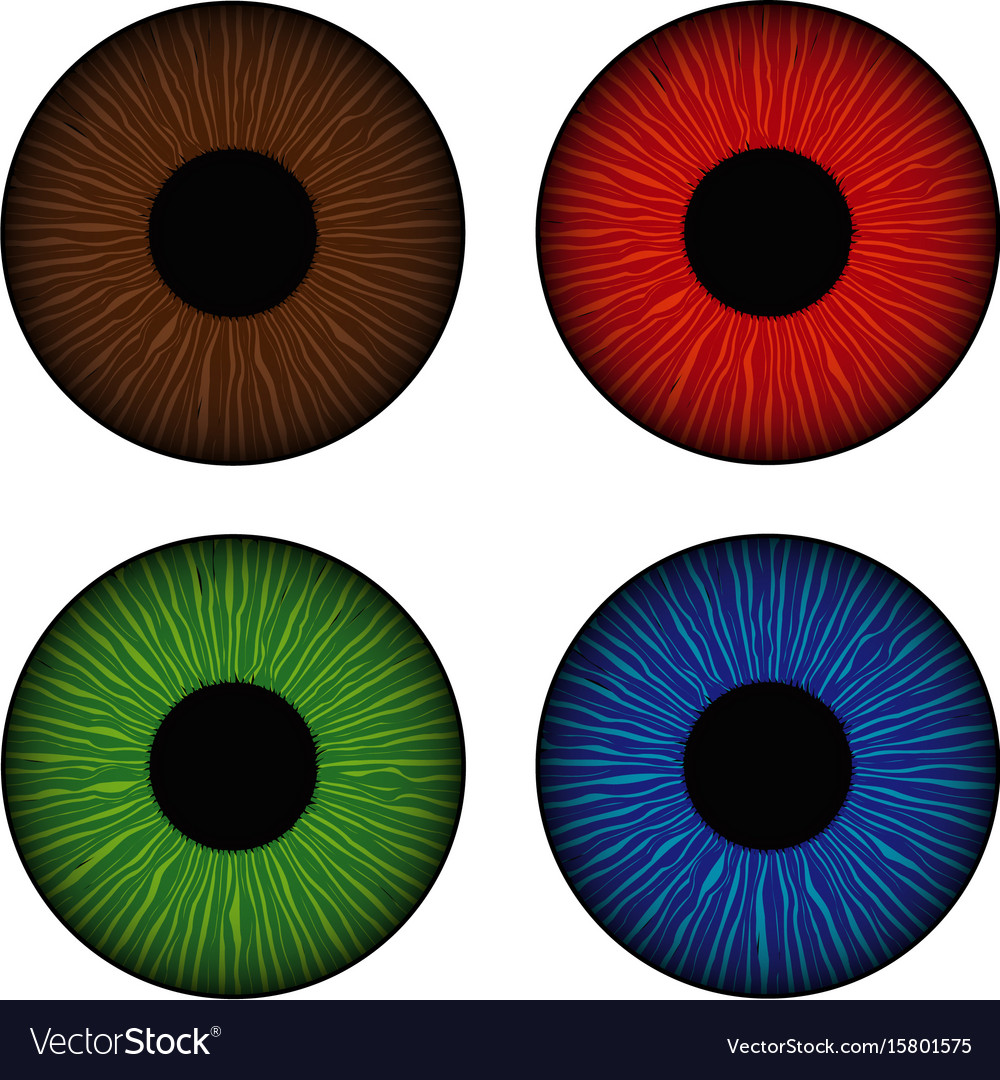 Set of human eyes iris isolated on white Vector Image