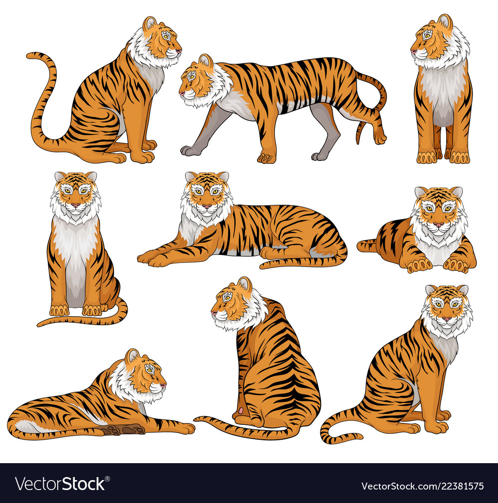 Sitting tiger side view Royalty Free Vector Image