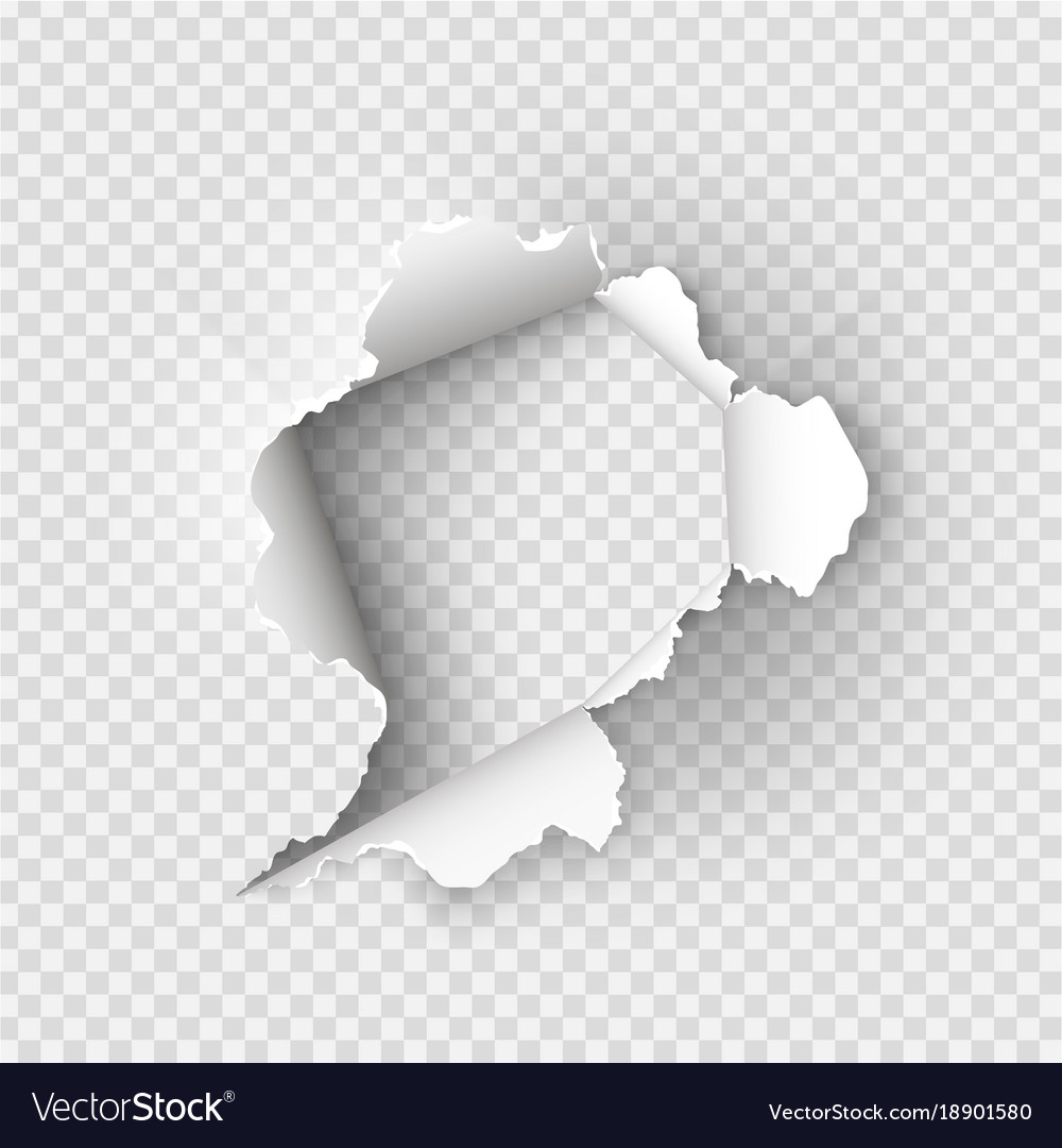 Paper realistic hole. Ripped torn hole on transparent background, cardboard  rip burst, damaged sheet with curled pieces, open paper gap, bullets ripping  page texture vector illustration Stock Vector