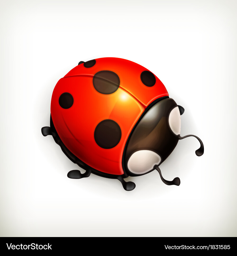 Ladybug icon Royalty Free Vector Image - VectorStock