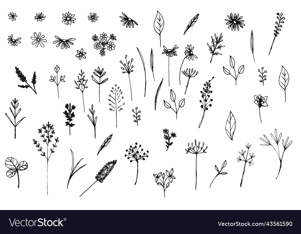 Big collection of simple modern florals Royalty Free Vector