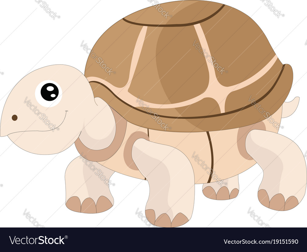 Cute turtle Royalty Free Vector Image - VectorStock