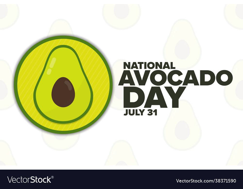 National avocado day july 31 holiday concept Vector Image