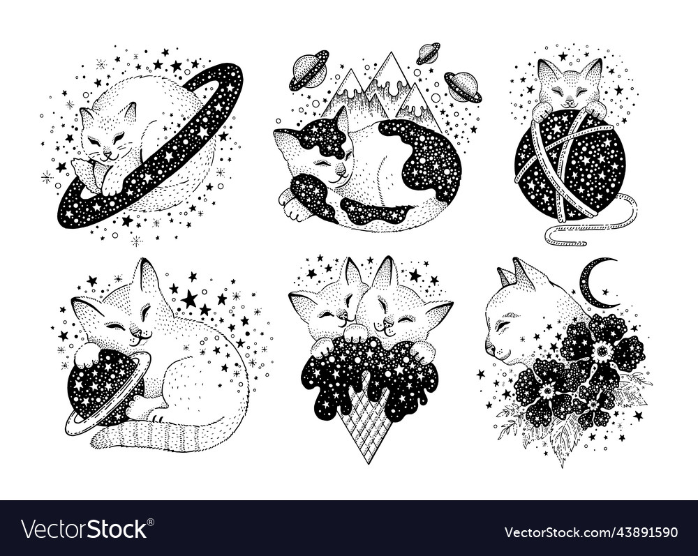 Kawaii anime black witchs magical kitten Vector Image