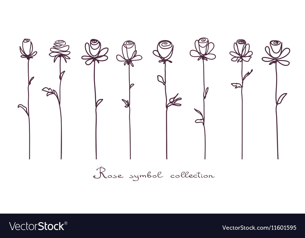 Roses Collection of isolated rose flower sketch Vector Image