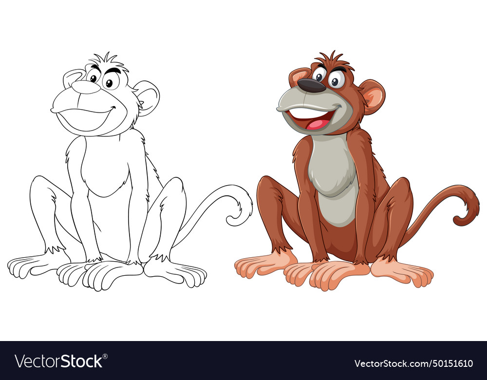 Graphic of a monkey sketched and colored versions Vector Image