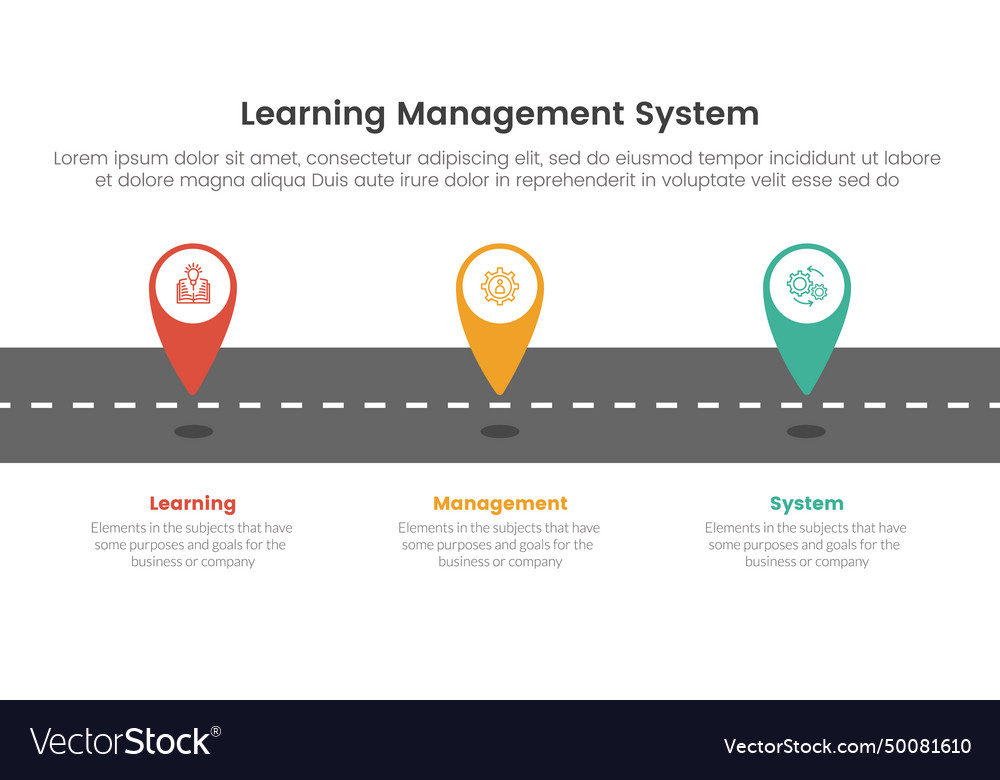 Lms learning management system infographic 3 Vector Image
