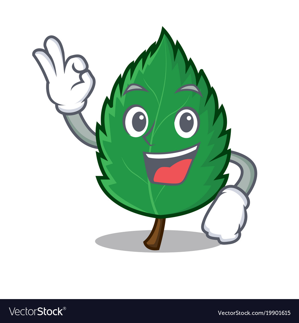 Okay mint leaves character cartoon Royalty Free Vector Image
