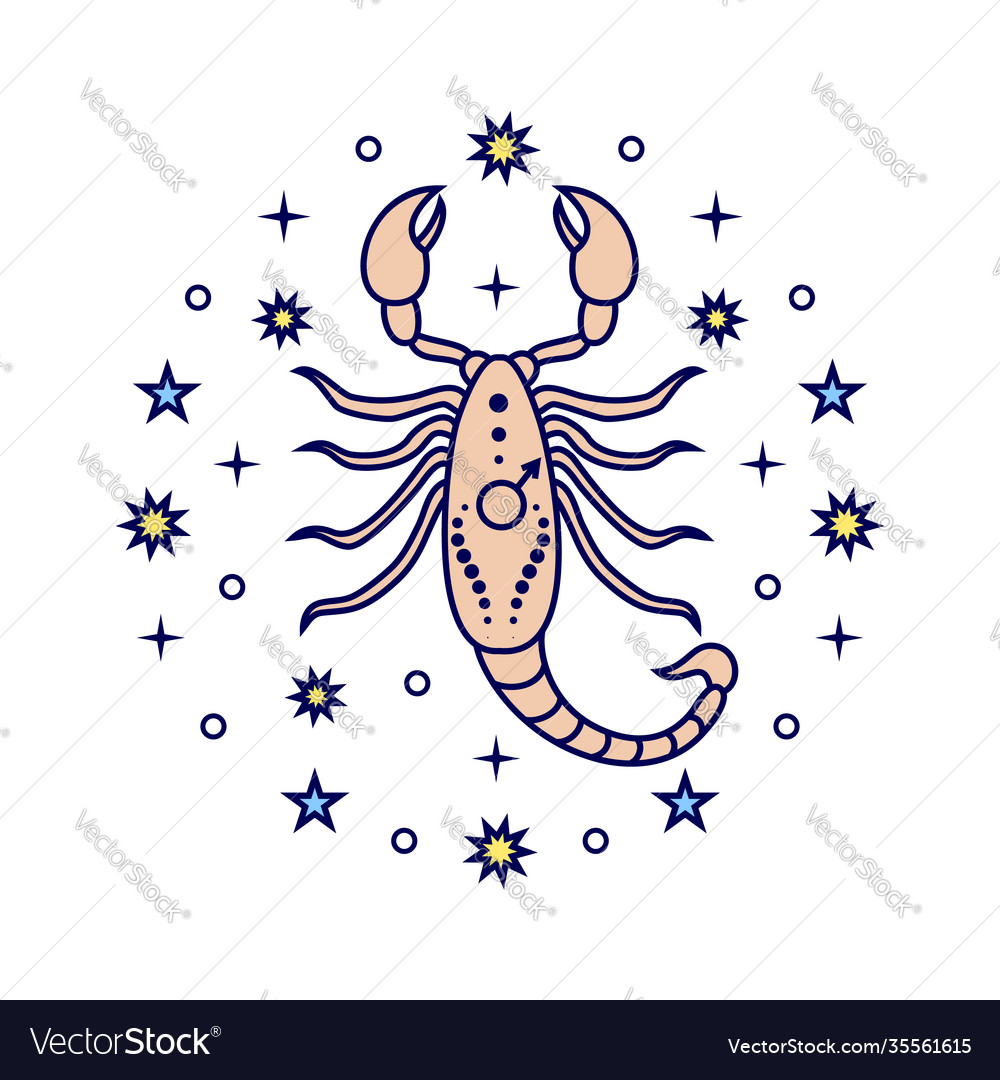 Scorpio zodiac sign Royalty Free Vector Image - VectorStock