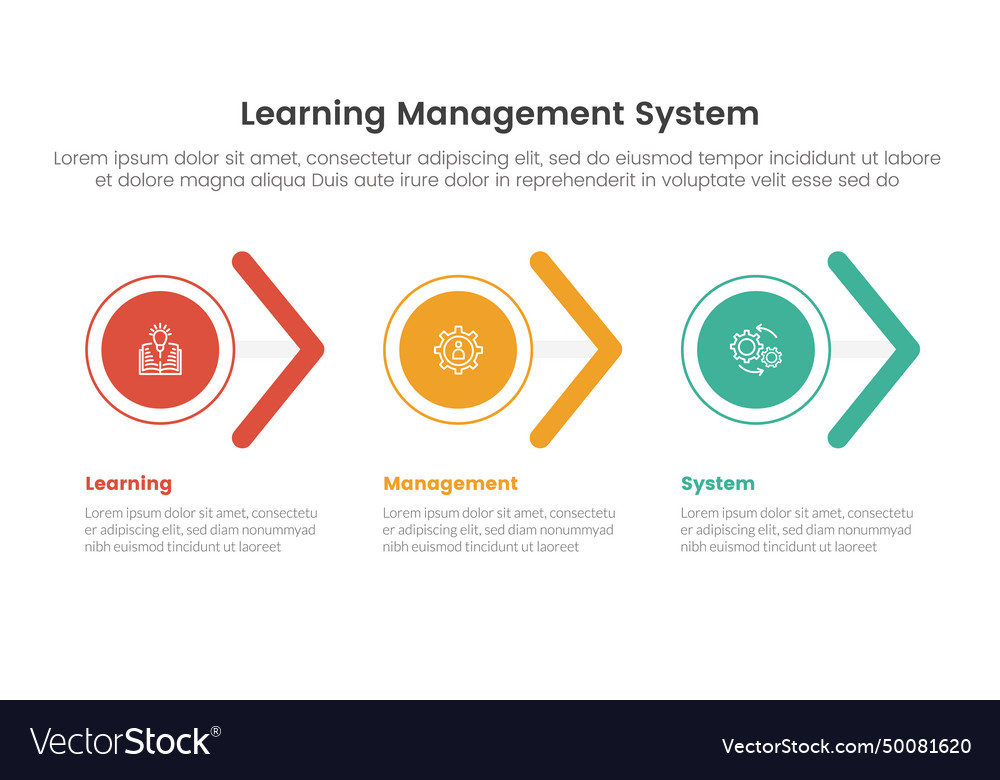 Lms learning management system infographic 3 Vector Image