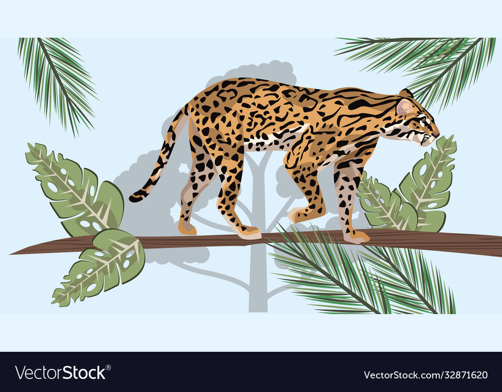 Wild leopard in landscape scene Royalty Free Vector Image