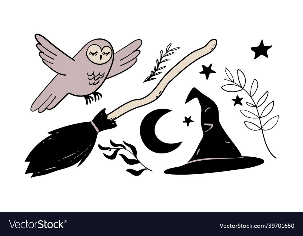 A set of elements for the witch magic broom owl vector image A set of elements for the witch magic broom owl
