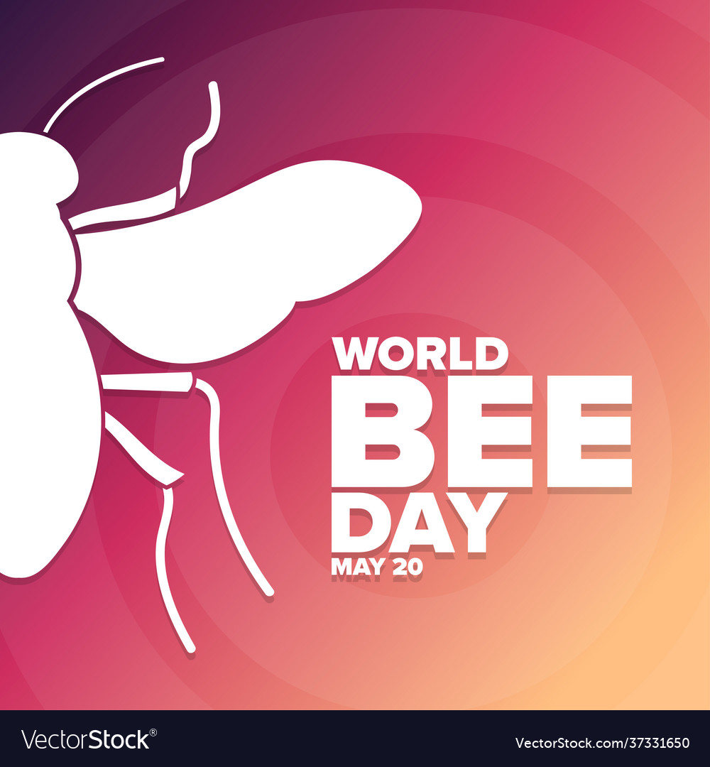 World bee day may 20 holiday concept template Vector Image