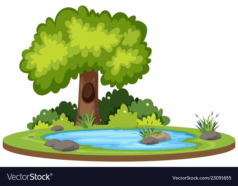 Isolated natural water landscape Royalty Free Vector Image