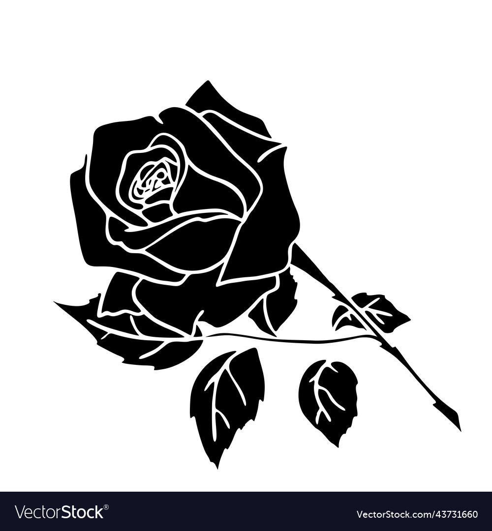 Black silhouette of a rose close-up on white Vector Image