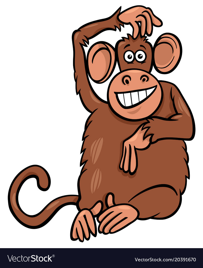 weird monkeys cartoons