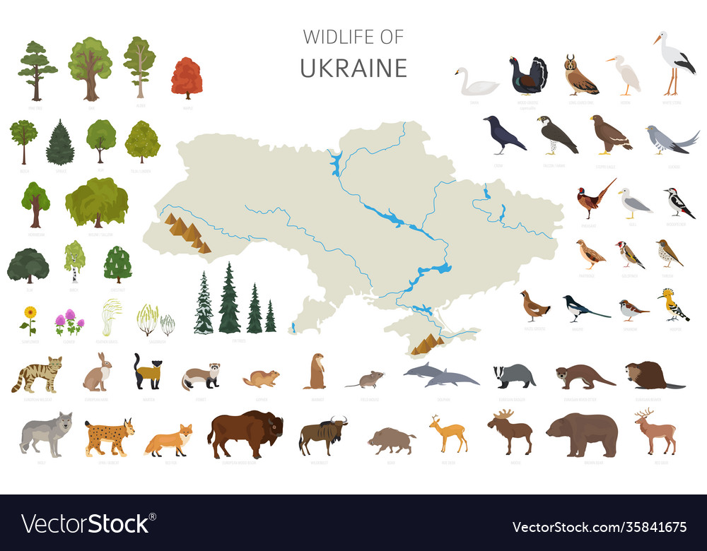 Animals Native To Ukraine Hotsell Dakora co
