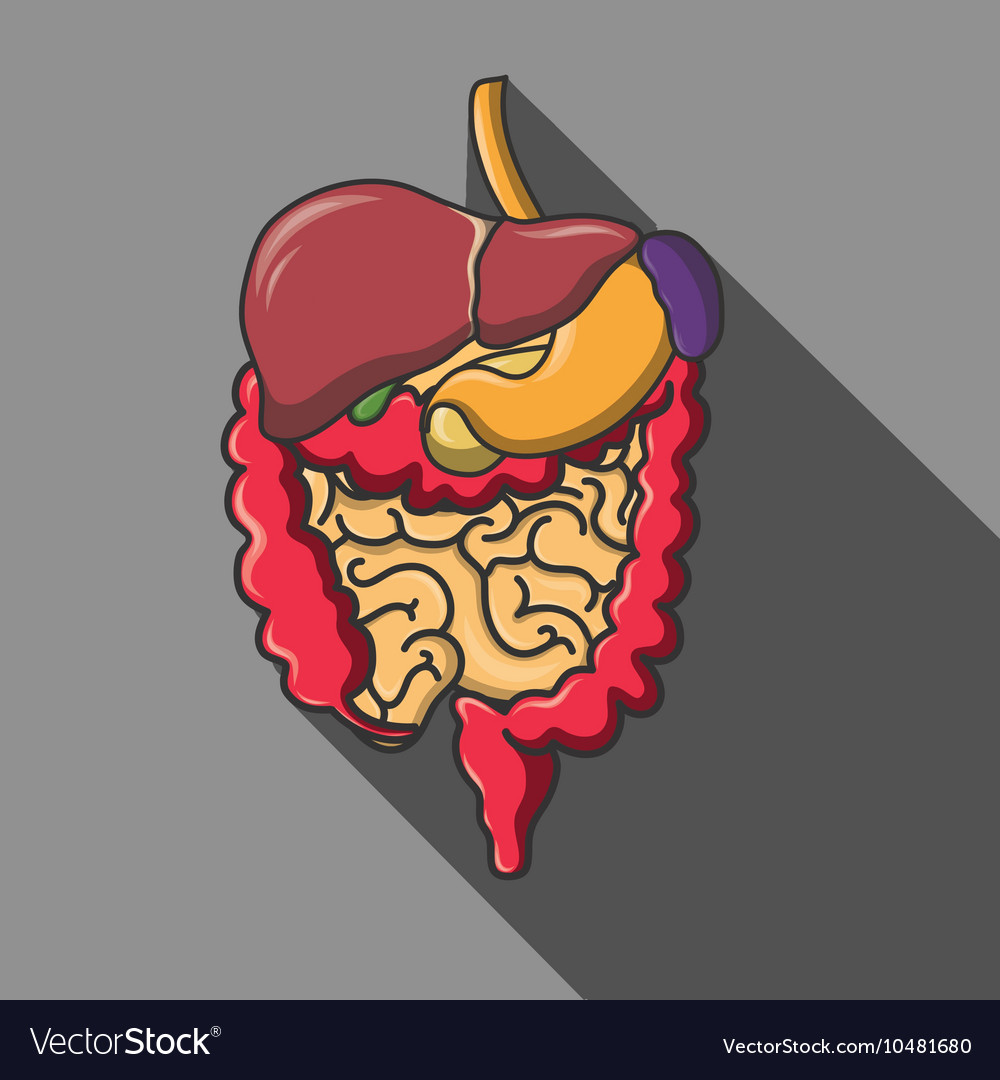 Human organs icon set eps