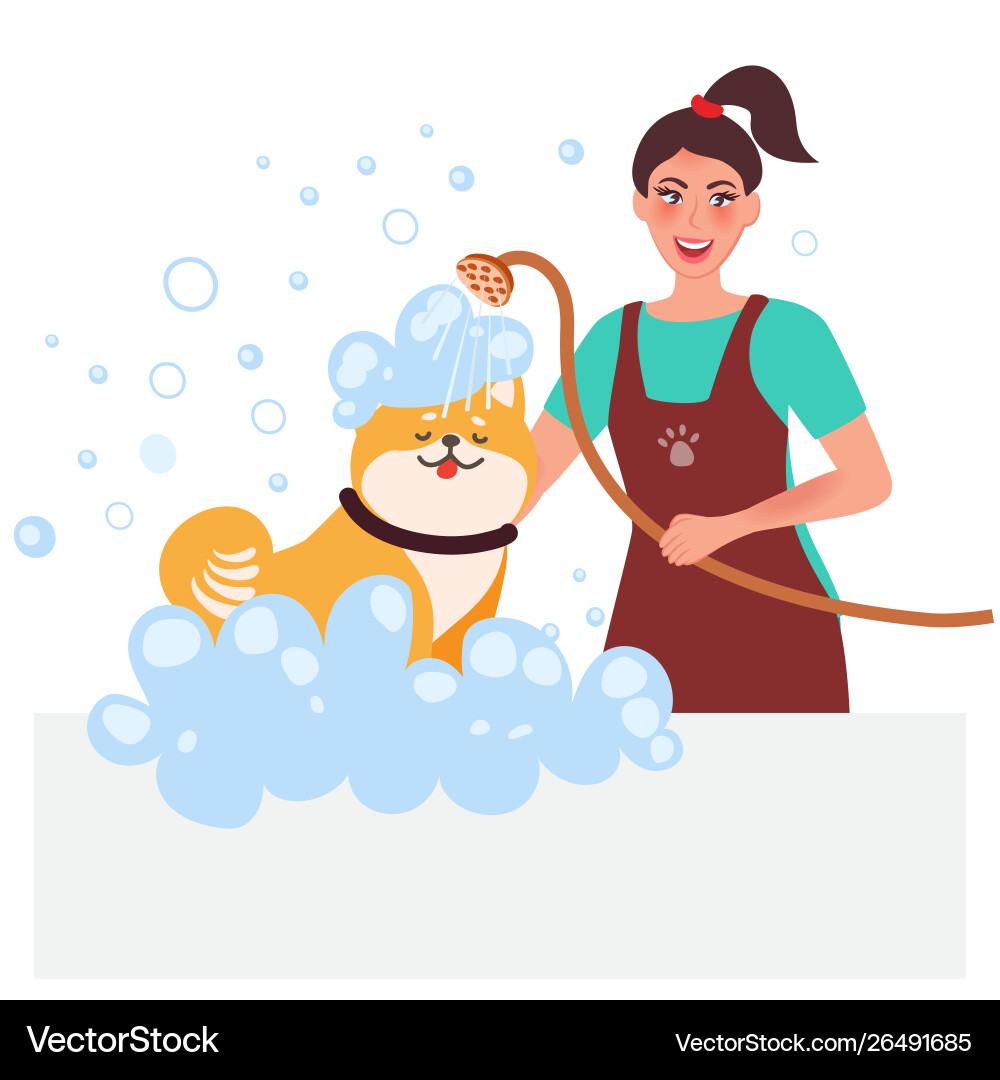 Procedure wash pet in grooming Royalty Free Vector Image