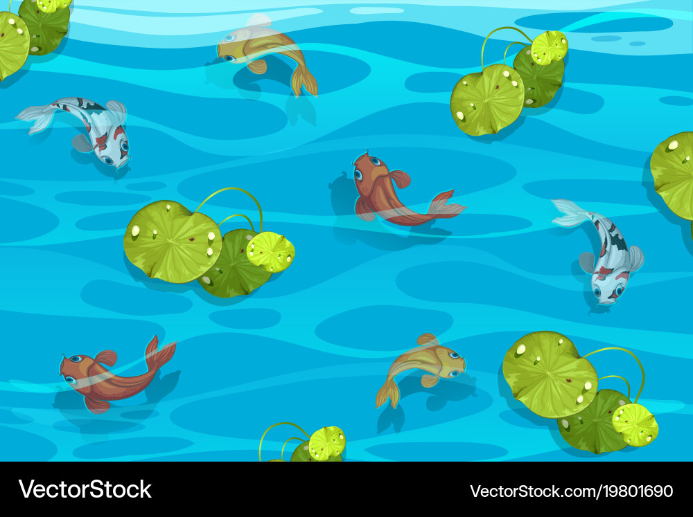Many Koi Fish In The Pool Royalty Free Vector Image