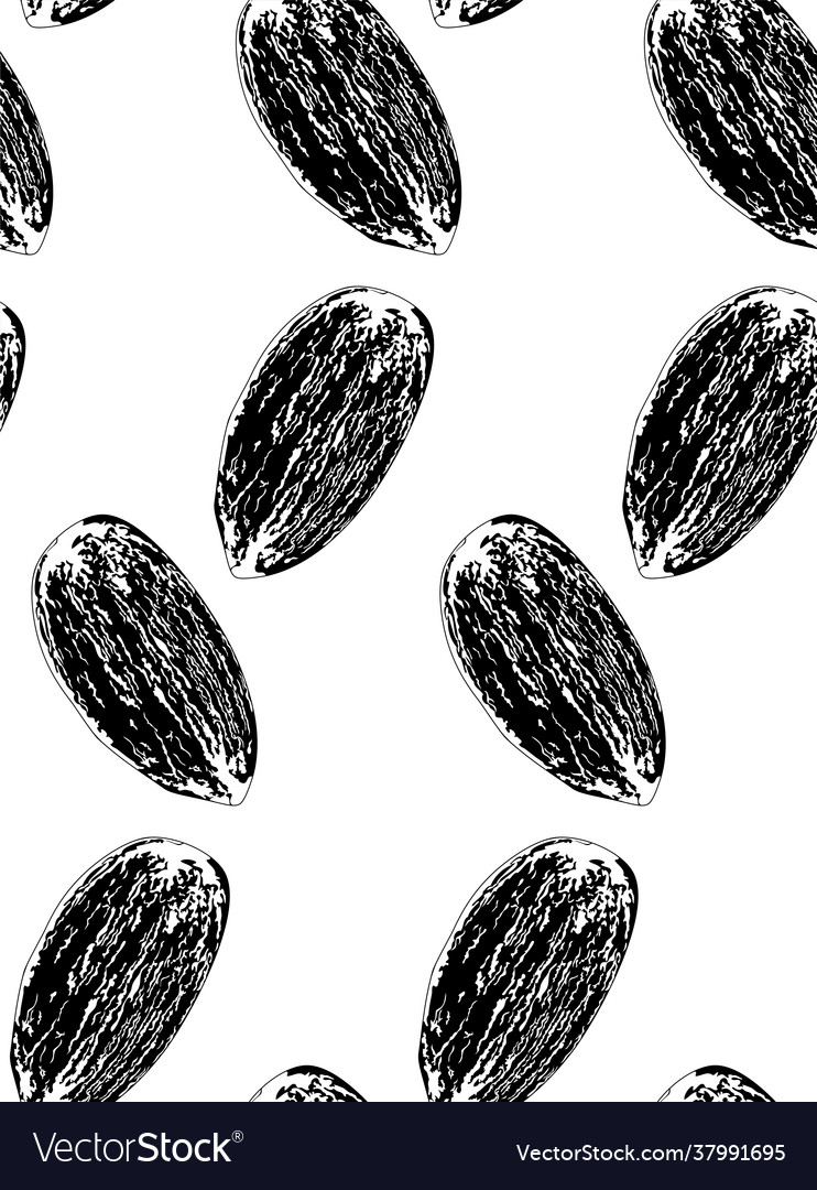 Almonds Clipart Black And White