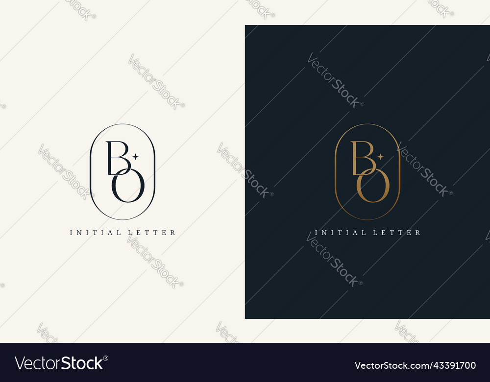 Premium bo logo monogram with gold circle frame Vector Image