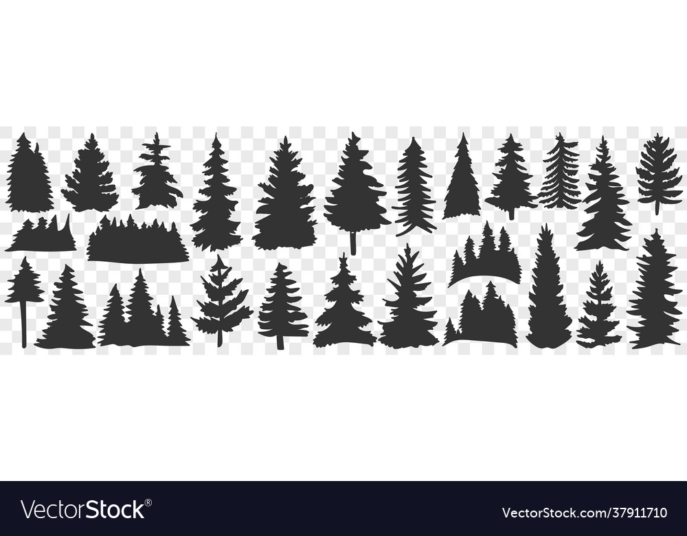 Silhouettes spruce and pine doodle set vector image Silhouettes spruce and pine doodle set