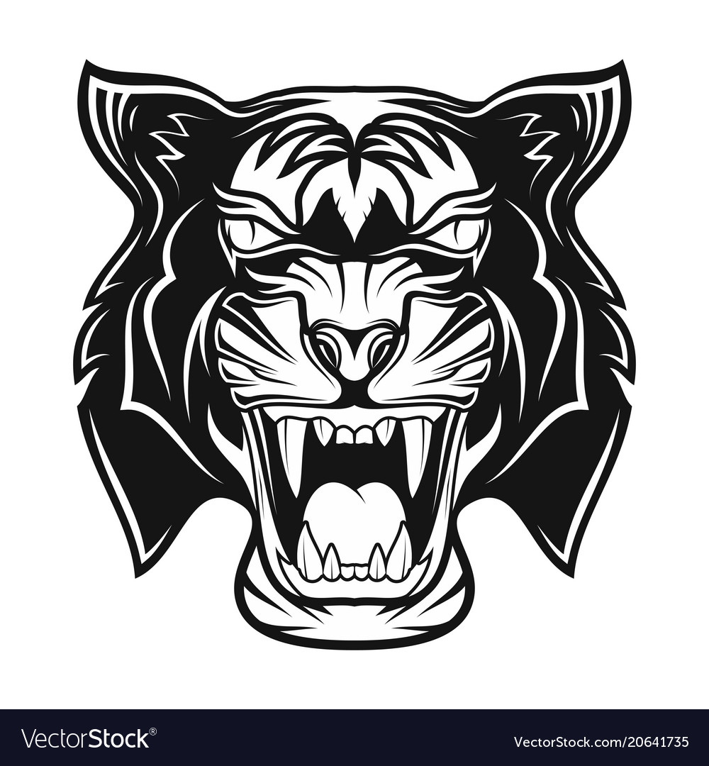 Tiger 0012 Royalty Free Vector Image - VectorStock