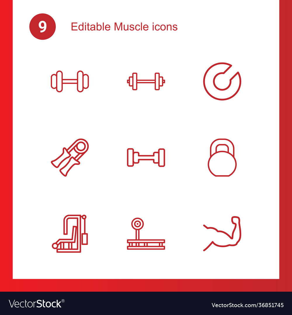 9 muscle icons