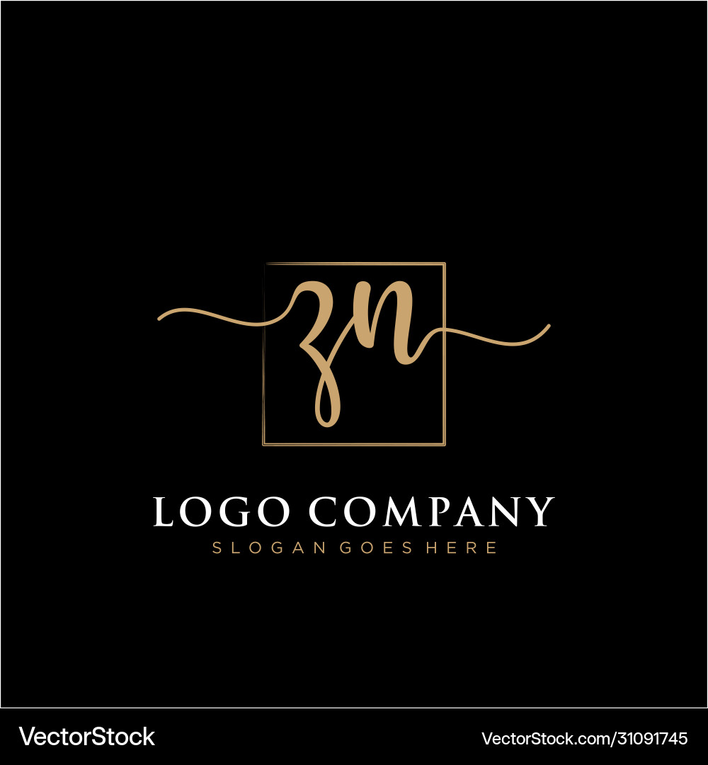 Zn initial handwriting logo with rectangle Vector Image