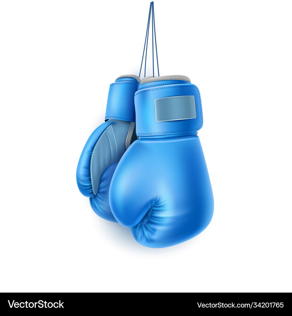 Blue pair boxing glove on lace realistic Vector Image