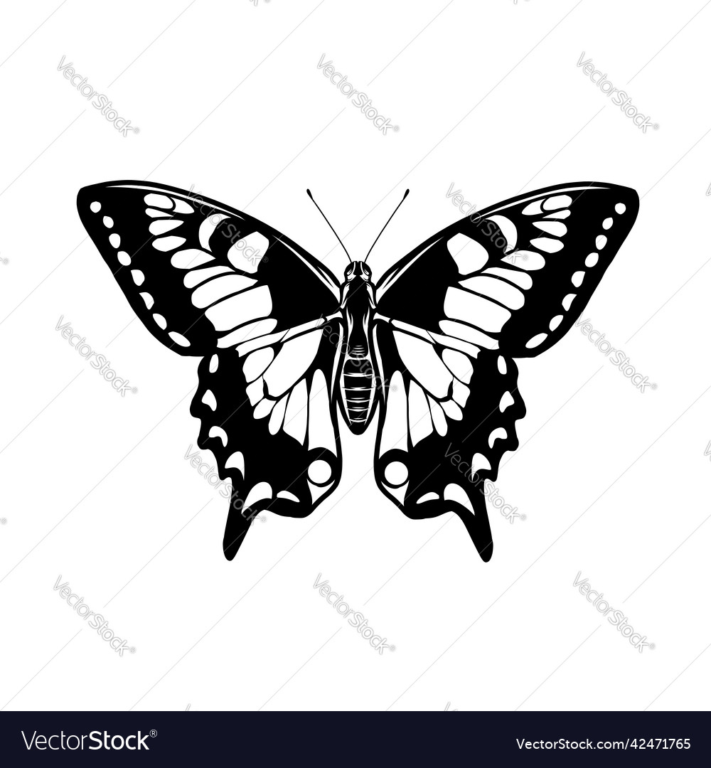 Butterfly style