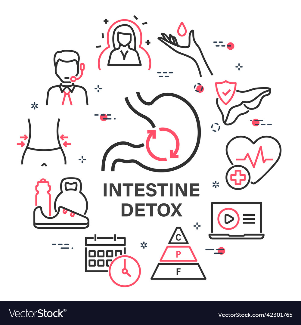 Intestine detox square banner linear