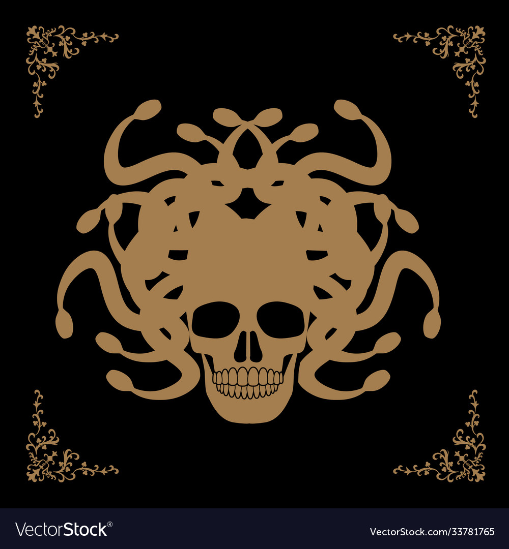 Ornamental medusa skull isolated on white Vector Image