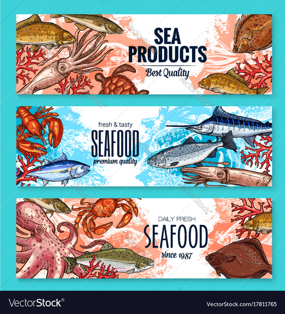Sketch Banners For Seafood Fish Food Market Vector Image