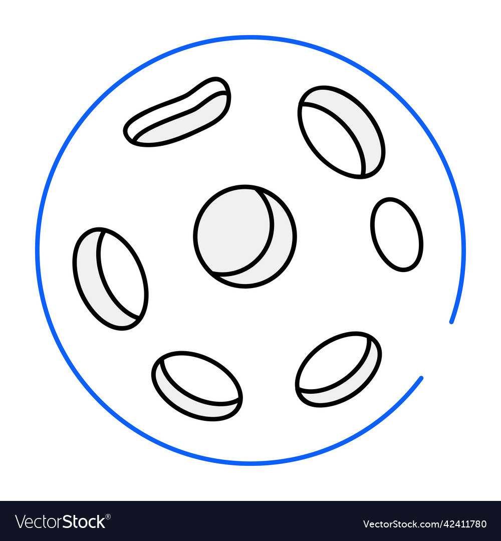 Moon Royalty Free Vector Image - VectorStock