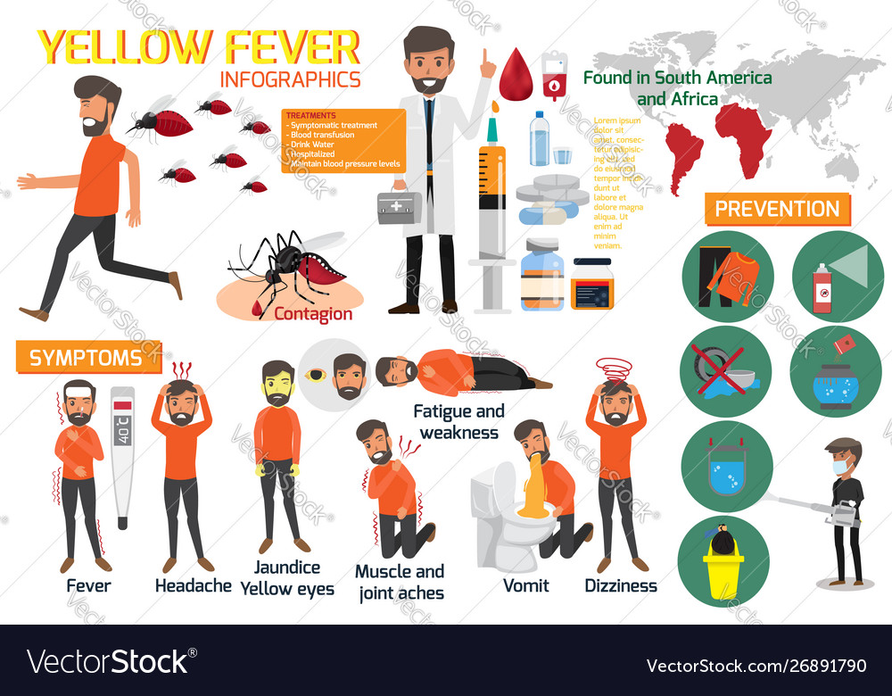 Yellow fever infographic elements symptoms Vector Image