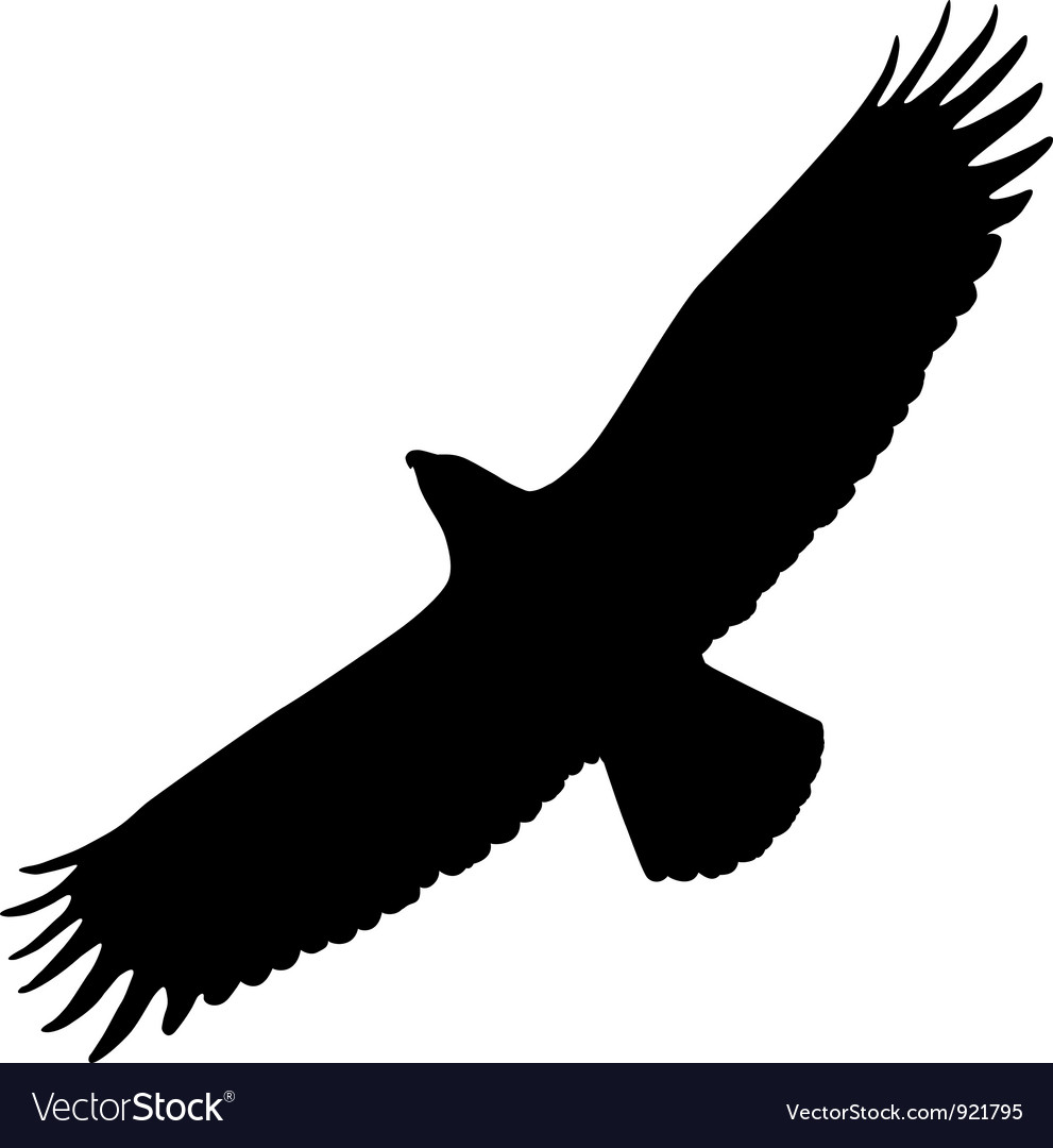 Download Eagle silhouette Royalty Free Vector Image - VectorStock