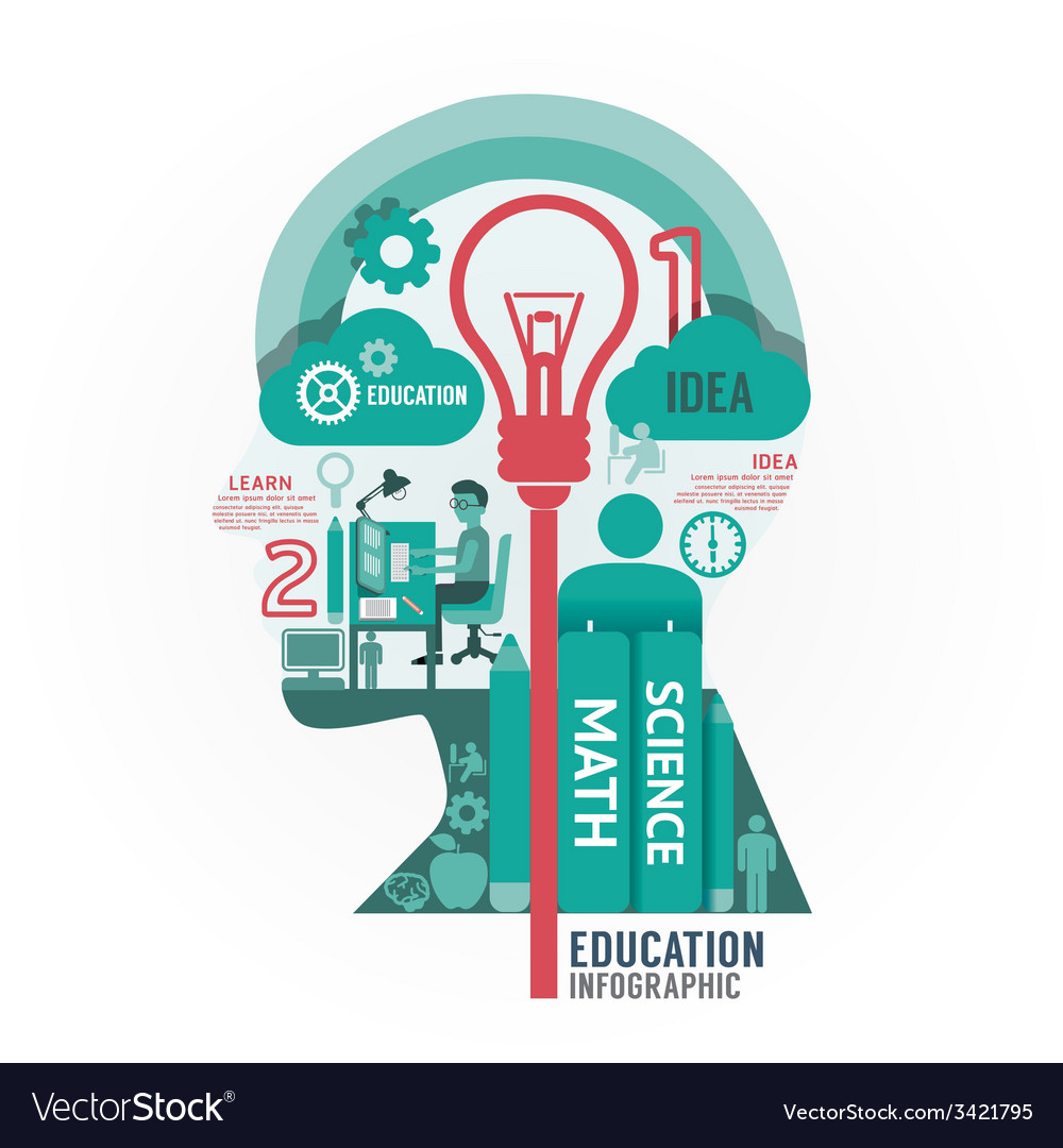 Infographics head education design diagram Vector Image