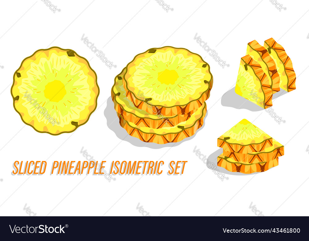 Pineapple cut into rings and triangles juicy Vector Image