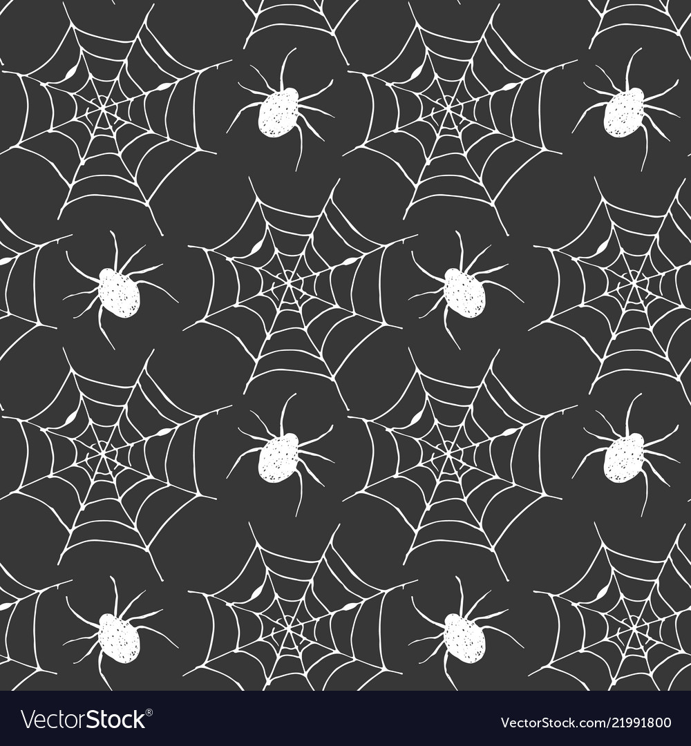 Spider web seamless pattern hand drawn sketched Vector Image