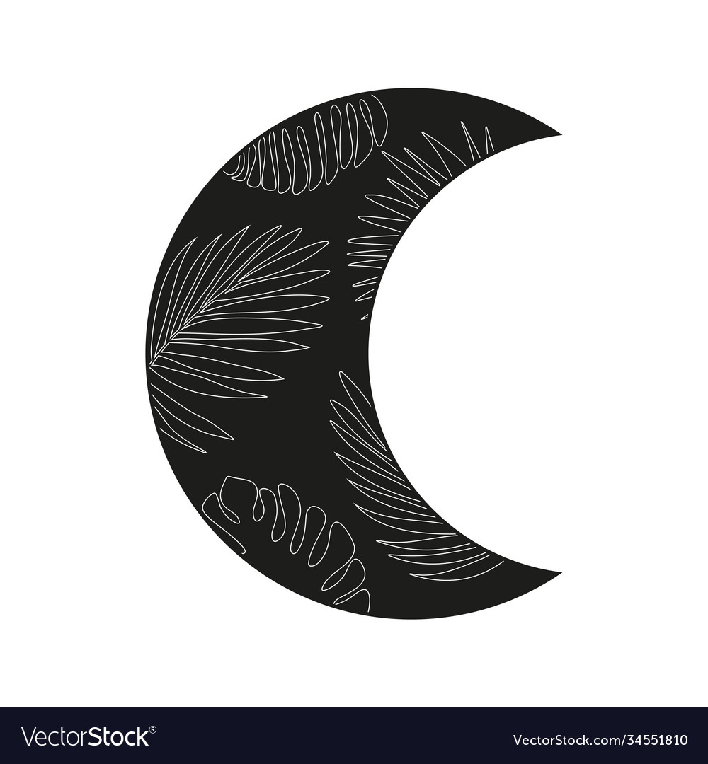 Floral crescent black on white tropical moon Vector Image