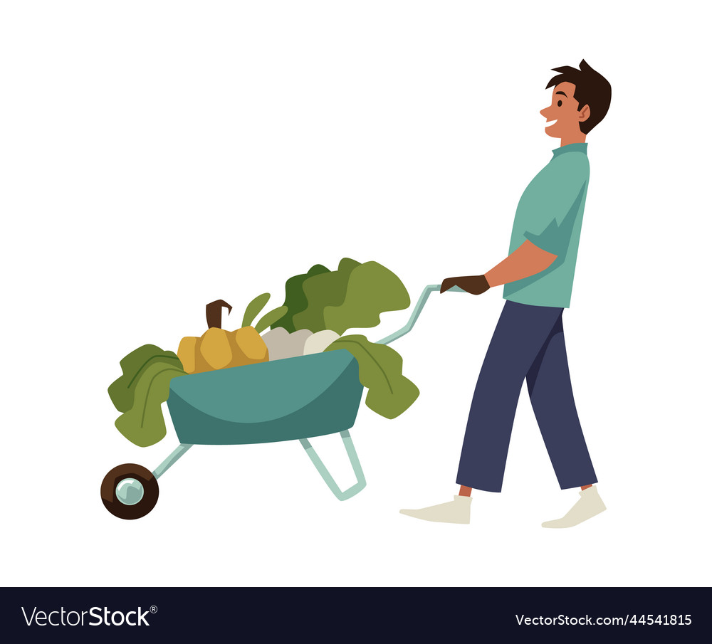 Farmer with harvest of fruits and vegetables Vector Image