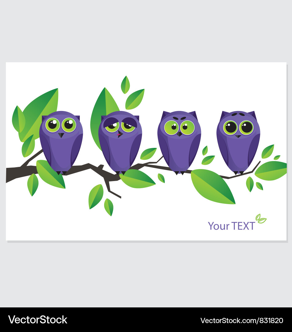 Owls Royalty Free Vector Image - VectorStock