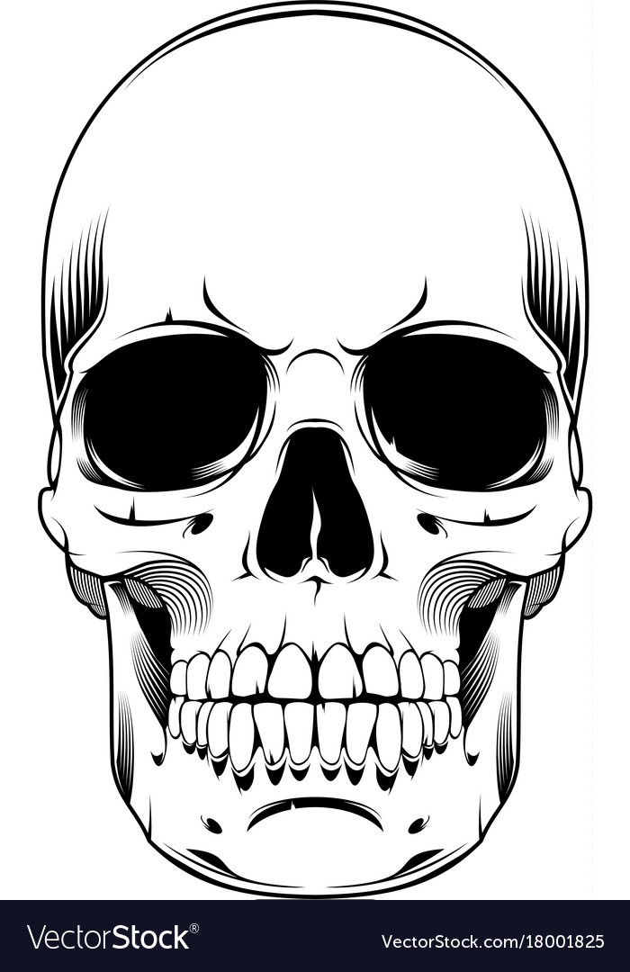 Download Angry skull Royalty Free Vector Image - VectorStock