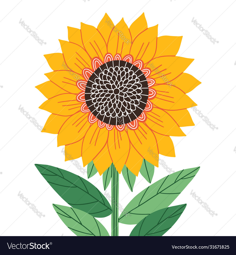 Beautiful Abstract Sunflower Isolated Royalty Free Vector Beautiful Abstract Sunflower Isolated Vector 31671825