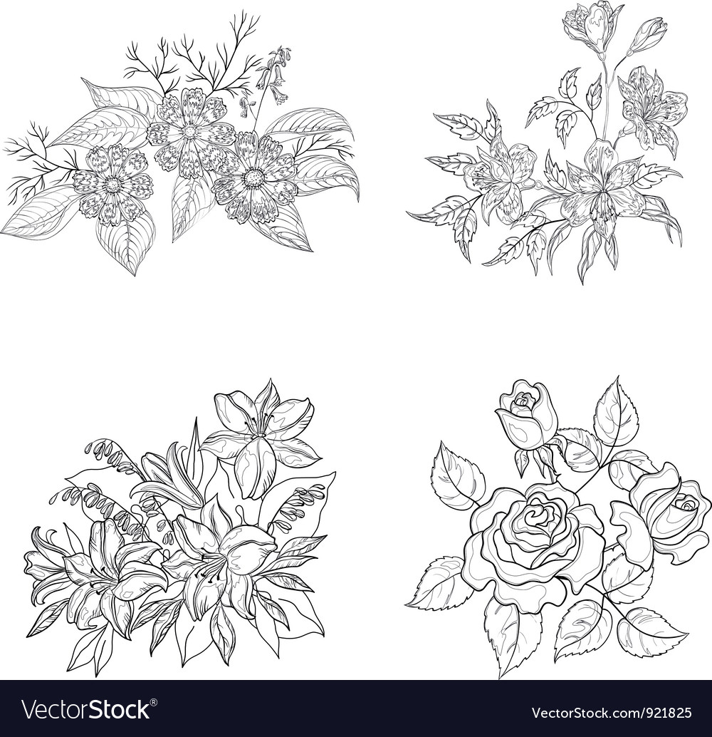 Download Cultivated flowers outline set Royalty Free Vector Image