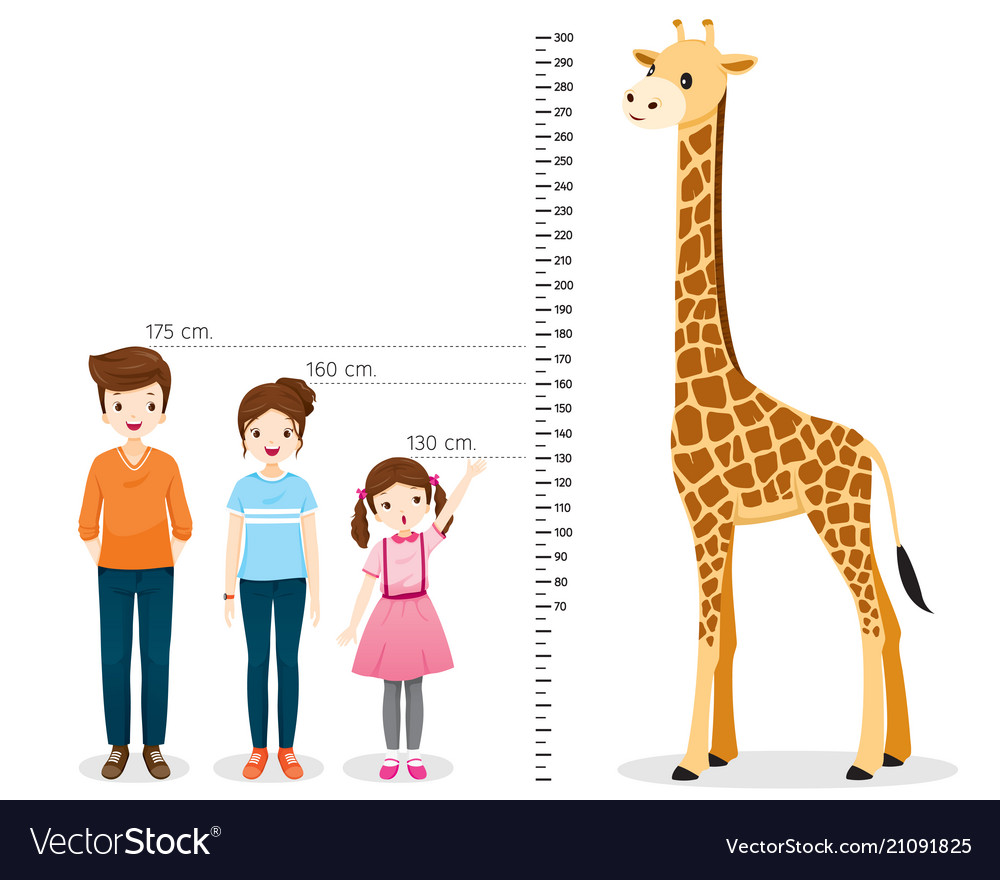 Man woman girl measuring height with giraffe Vector Image